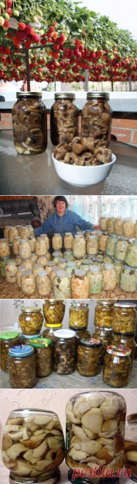 (58) Одноклассники