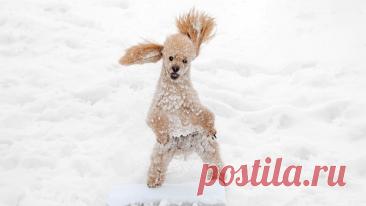 Рафаил - OGADANIE.RU