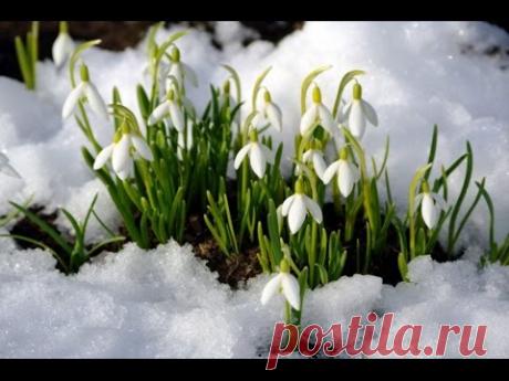 Распознавание музыки онлайн - Pro Comp - Группы Мой Мир