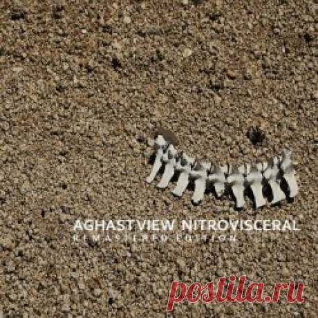 Aghast View - Nitrovisceral (Remastered Edition) (2020) [Remastered] Artist: Aghast View Album: Nitrovisceral (Remastered Edition) Year: 2020 Country: Brazil Style: EBM, Industrial