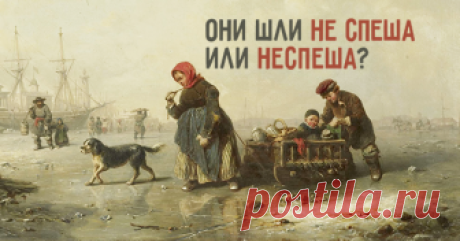 «Не» слитно или раздельно: 7 коварных слов, которые постоянно заставляют вас ошибаться