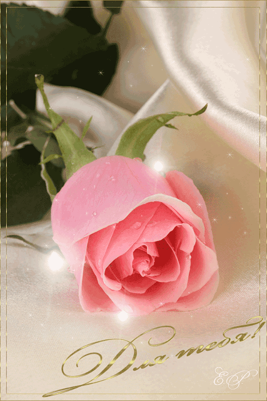 s-96095.gif (533×800)