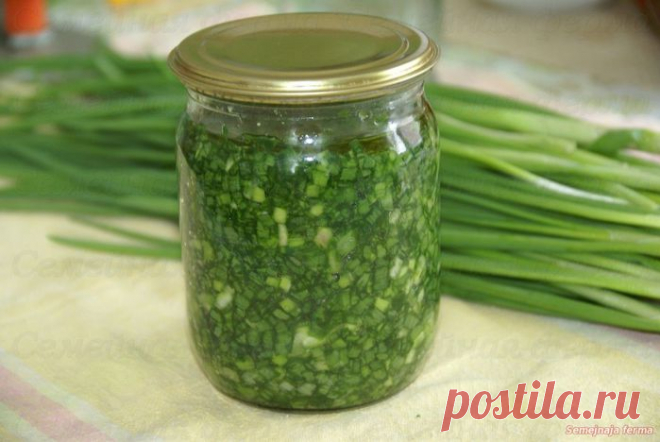 Заготовки из зелени на зиму