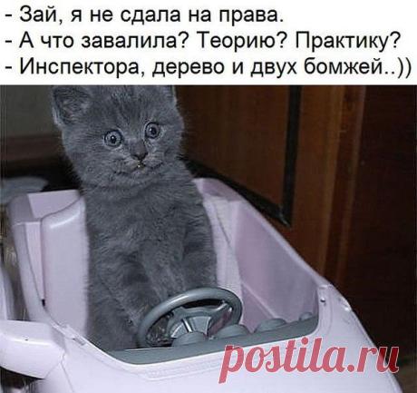 Женский журнал