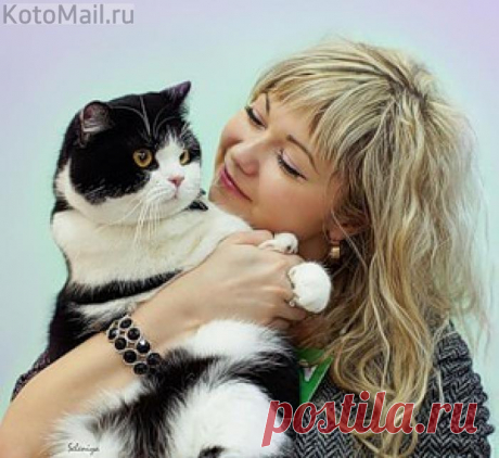 Кот знает себе цену