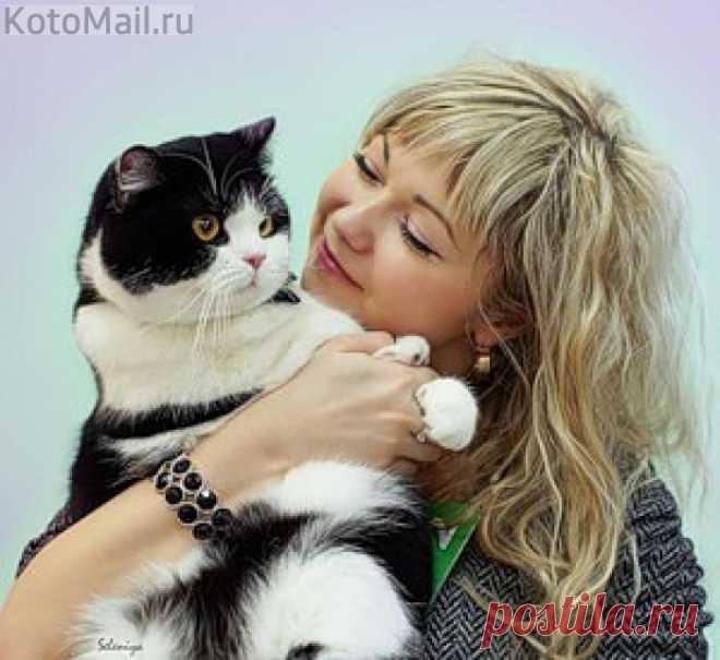Кот знает себе цену