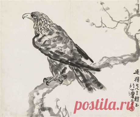 Hawk, 1946 - Xu Beihong - WikiArt.org ‘Hawk’ was created in 1946 by Xu Beihong in Expressionism style. Find more prominent pieces of animal painting at Wikiart.org – best visual art database.