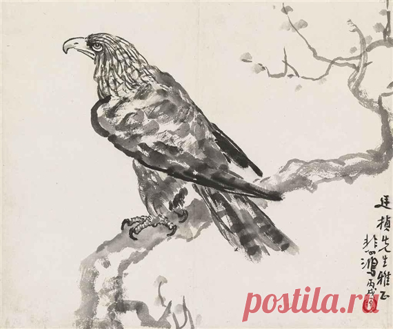 Hawk, 1946 - Xu Beihong - WikiArt.org ‘Hawk’ was created in 1946 by Xu Beihong in Expressionism style. Find more prominent pieces of animal painting at Wikiart.org – best visual art database.