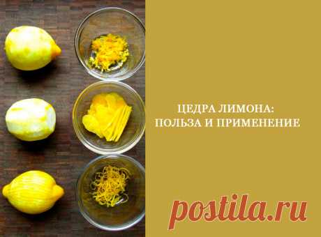 Польза и применение. Цедра лимона Самый популярный продукт на нашей кухне, пожалуй, лимон. Все мы практически каждый день используем его для приготовления салатов и других блюд, часто добавляем в чай. А вот особое внимание стоит уделять именно цедре лимона. Подробнее — читайте далее…
