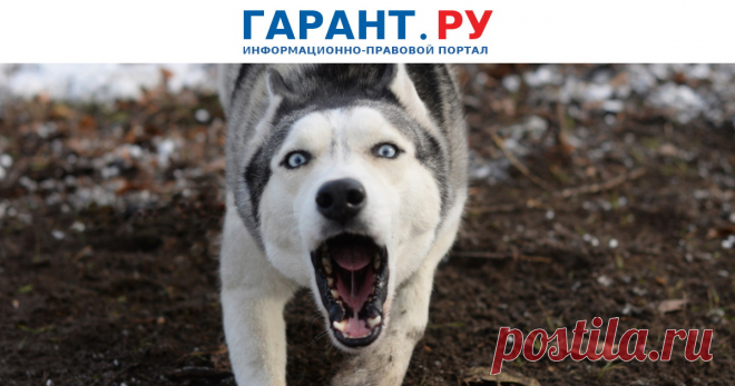 Суд отказал во взыскании МОРАЛЬНОГО ВРЕДА, причиненного смертью щенка от нападения взрослой собаки Но взыскал в полной мере убытки в виде стоимости щенка той же породы.