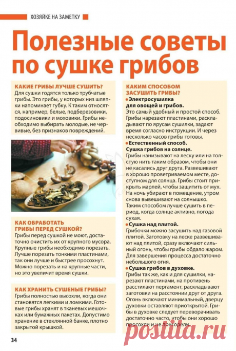Полезные советы по сушке грибов