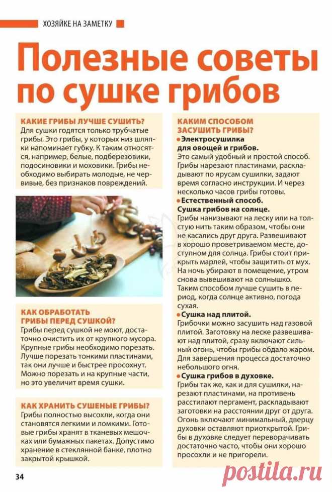 Полезные советы по сушке грибов