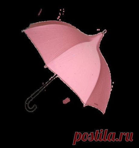 кажется дождь собирается..