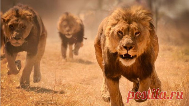 Спорим, вы этого не знали (10 фото)