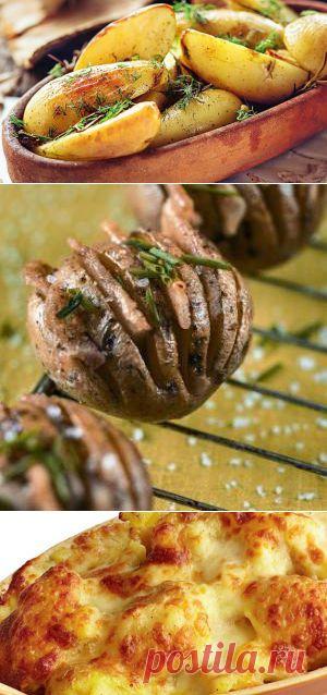Картофель. Блюда из картофеля на Gastronom.ru
