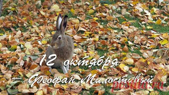 С Днем Феофана Милостивого,
Я сегодня поздравляю,
И желаю я добра,
Море радости, тепла! Открытки на День Феофана Милостивого.
