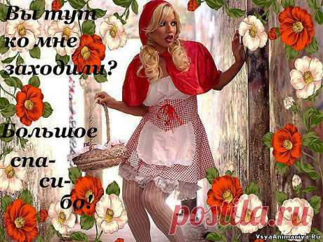 открытка