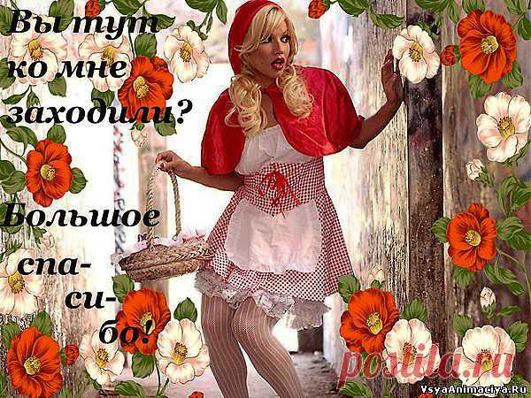открытка