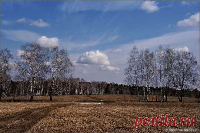 Поле, пашня, хлеб, скот – самые древние понятия человека.
Любому, даже очень городскому человеку, в полях невыразимо хорошо.
Лучше всего пройтись по полям в апреле, когда с полей сходит полуметровая толща снега.