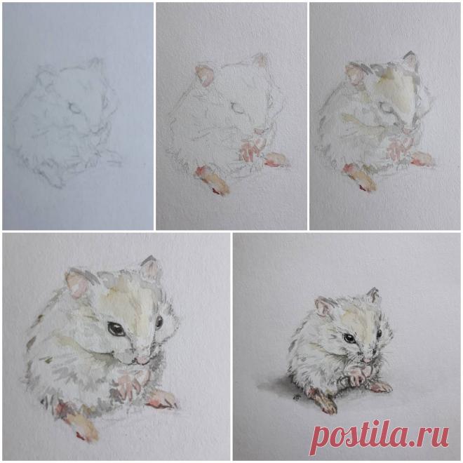 #хомяк #рисуемАкварелью #акварель  #watercolorArt

😊👇 mire on 
tasha.biboolaya
https://www.instagram.com/tasha.biboolaya?r=nametag 
•••••••••••••••••••••••••••••••••••••••
