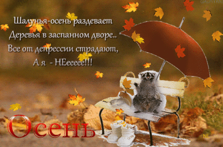 Утро осеннее,очень тоскливое... стишки-депресняшки