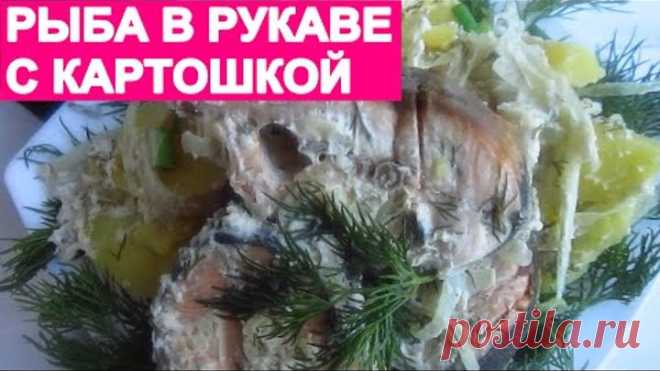 РЫБА В РУКАВЕ. Быстро, просто и вкусно! fish is in a sleeve