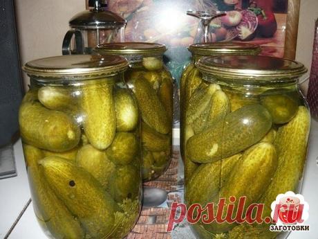 Огурчики-объедение

Огурцы вымачиваю в хол.воде 5-6 час.
Не обрезать!
В чистые банки много специй: хрен. чеснок. укроп. листья черной смородины, горький перец ( кто сколько любит ), листья вишни и дуба, любисток ... Можно семена горчицы.
Плотно забиваю огурцы и заливаю холодной водой. На 2 литра
3 столовые ложки крупной соли. Стоят 3 дня. Можно снимать пену. Потом сливаю этот рассол, кипячу 2-3 мин. Заливаю и закручиваю. Все.