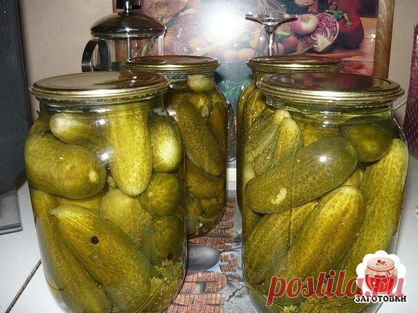 Огурчики-объедение

Огурцы вымачиваю в хол.воде 5-6 час.
Не обрезать!
В чистые банки много специй: хрен. чеснок. укроп. листья черной смородины, горький перец ( кто сколько любит ), листья вишни и дуба, любисток ... Можно семена горчицы.
Плотно забиваю огурцы и заливаю холодной водой. На 2 литра
3 столовые ложки крупной соли. Стоят 3 дня. Можно снимать пену. Потом сливаю этот рассол, кипячу 2-3 мин. Заливаю и закручиваю. Все.