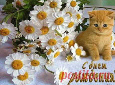 (54) Одноклассники