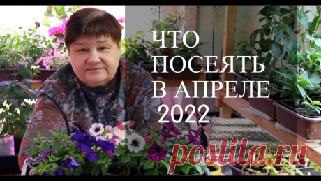 О саду ли в огороде видео с юлией минаевой новое видео Блог по вязанию для начинающих и опытных вязальщиц Ваш ресурс номер один для обучения вязанию спицами. Блог, посвященный бесплатным выкройкам, видео по вязанию, пряже и всему, что нужно для этого удивительного хобби.