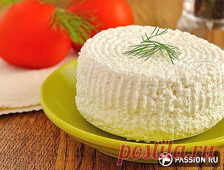 Как сделать домашний сыр | passion.ru