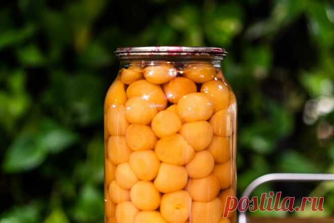 Желтая алыча на зиму – 12 вкусных рецептов с фото, простые рецепты желтой алычи на зиму