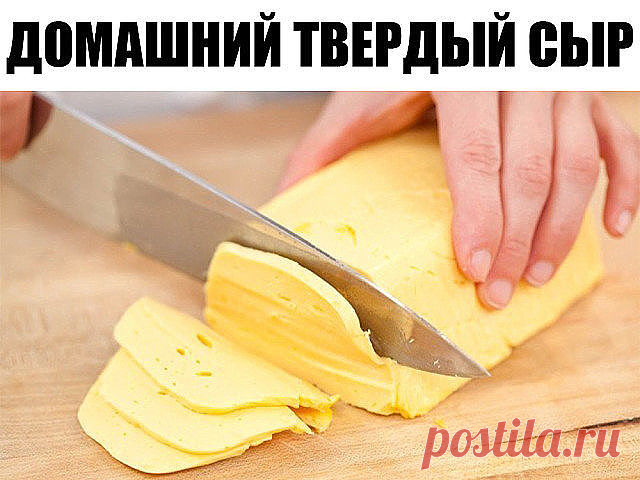 Домашний твердый сыр

Приготовить домашний твердый сыр не так уж и сложно. Такой сыр можно смело давать малышу, ведь в нем не будет никаких ароматических добавок и красителей.

Ингредиенты:
- 500 грамм жирного творога (не менее 9%) зернистого
- 500 мл молока (чем жирнее, тем лучше, но я брала обычное 3,2%)
- 50 грамм сливочного масла
- 0,5 чайной ложки соды
- 1 яйцо
- соль по вкусу (примерно 0,5 чайной ложки)

Способ приготовления домашнего твердого сыра:
1. Выливаем молок...