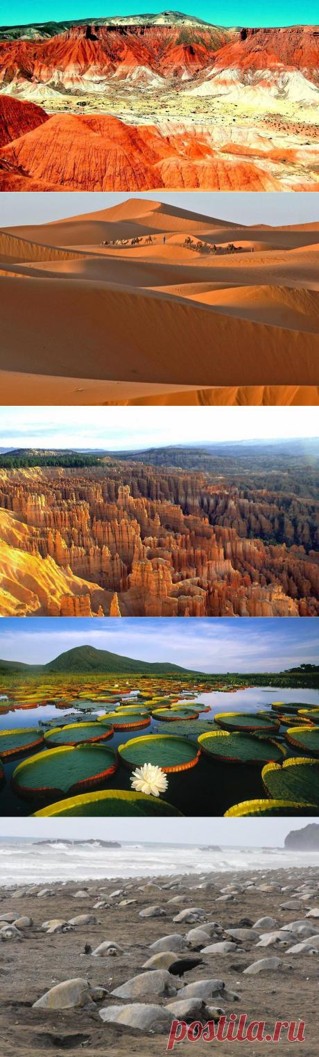 10 малоизвестных чудес природы | ЖЕНСКИЙ МИР