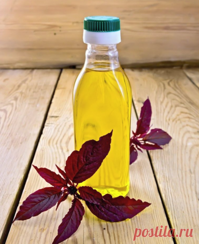 Амарант — настоящий хлеб славян! Вот почему Петр I жестоко запретил выращивать амарант Как непостижимо прекрасна и загадочна природа! Смотришь на растение, думаешь, что это сорняк, а оказывается… Щирица, бархатник, аксамитник, петушиные гребешки, кошачий хвост, лисий хвост — названий у …