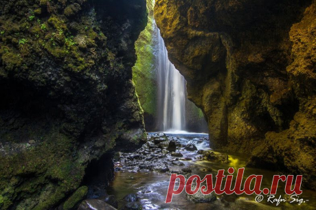 Google+