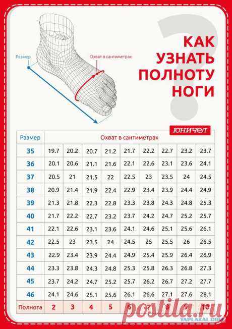 как узнать полноту ноги7344111.jpg (723×1024)