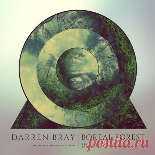 Darren Bray – Boreal Forest [STFR026] Darren Bray – Boreal Forest [STFR026]