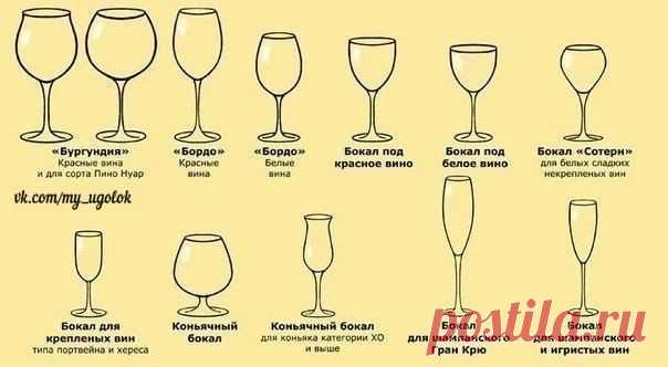 Названия бокалов для вина и их назначение.