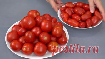 КУДА СТОЛЬКО? Вялим помидоры и мясо, сушим овощи - СЕКРЕТЫ хранения и РЕЦЕПТЫ! Большая сушка