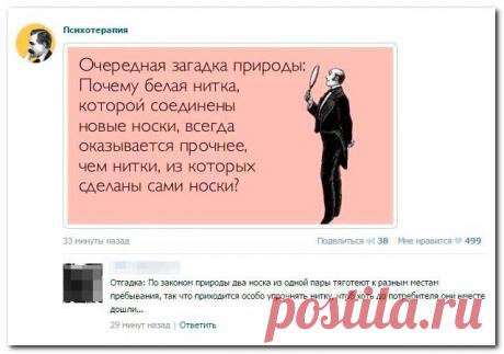 Что новенького в соцсетях??? - Экологическое землетворчество | Экологическое землетворчество