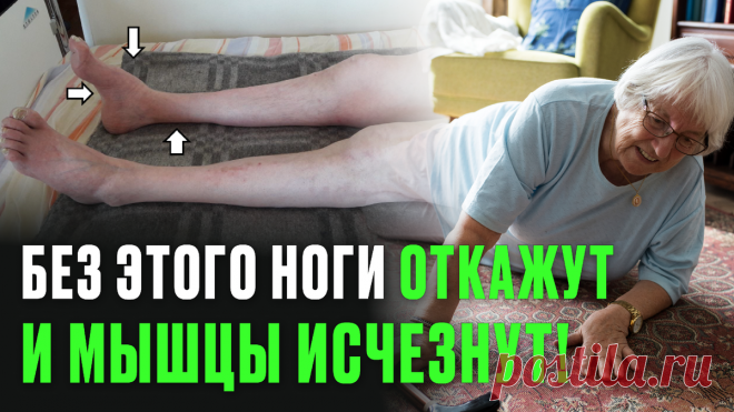 Продукт, без которого ноги откажут и мышцы исчезнут — ешьте обязательно! | Лечение боли | Дзен