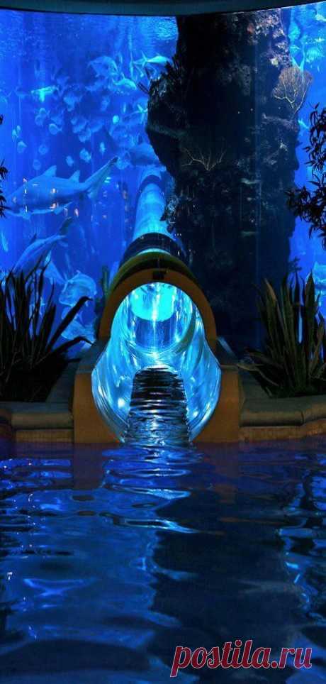 15 Things You Can Only Do In Vegas