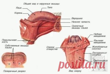 Новости