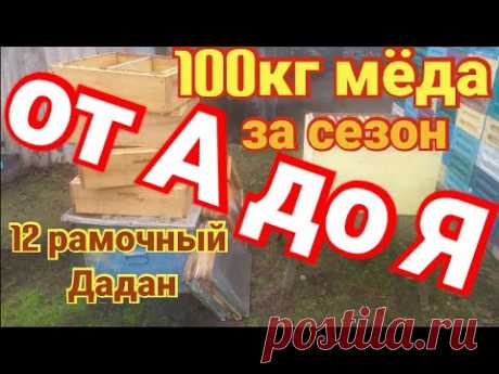 100кг мёда за сезон. От А до Я. Работа в 12 рамочном улье .