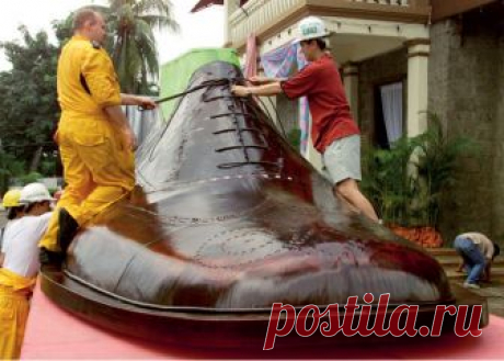 Как завязать шнурки за 2 секунды 
У меня сын ненавидит шнурки, не любит их завязывать, откопала собственно для него