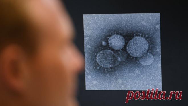 Глобальный эксперимент США: Биологическая угроза нависла над всей Евразией | Царьград | Дзен