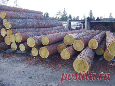 Покупка. продажа леса
пиловочный.
Доска.брус.строительные материалы.
https://vk.com/club72725806
https://special-service.info/listings/4--
https://www.odnoklassniki.ru/group/53180123381877