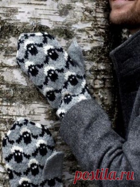 Узор "овечки", находка для любителей жаккарда Конкурс "Счастливый комментарий" - комментируй публикации, получай призы каждую неделю! Детали конкурса читайте здесь Здесь  Новая рубрика "Наши интервью" - истории о нас! Стань ее героем прямо сейчас.