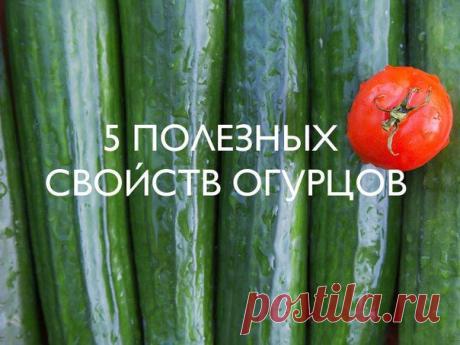 Здоровье. Самопознание.